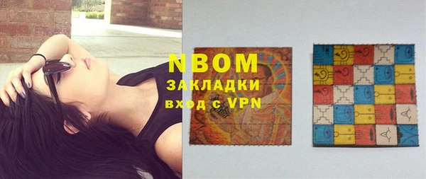 индика Абаза