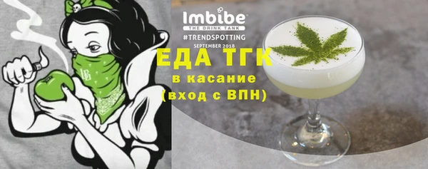 индика Абаза