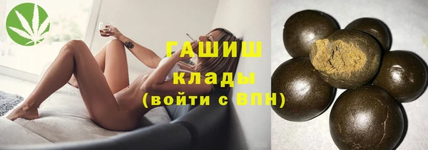 индика Абаза