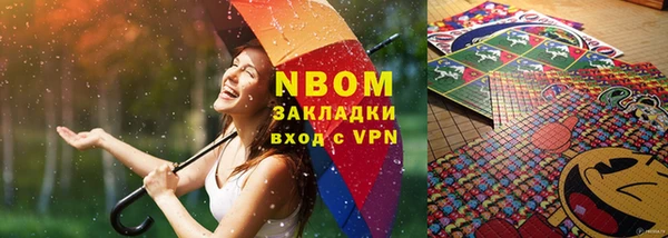 индика Абаза