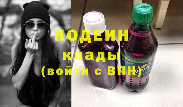 индика Абаза