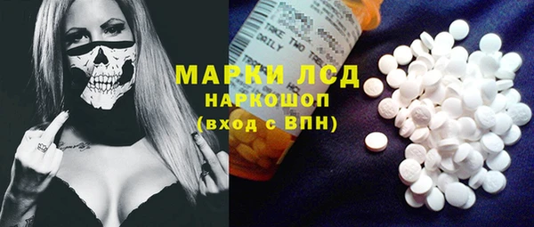 индика Абаза