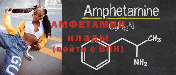 индика Абаза