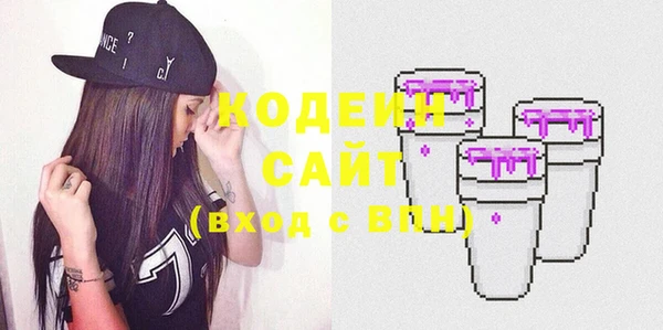 индика Абаза