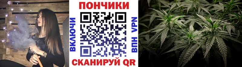 KRAKEN ONION  Северодвинск  Канабис план 